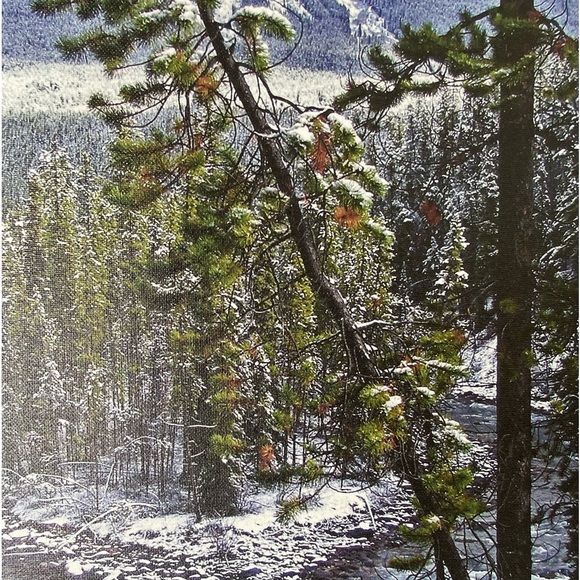 🍒Free Gift with 3+ items purchased🍒. Original Artist Photography on Canvas - Picture 6 of 9